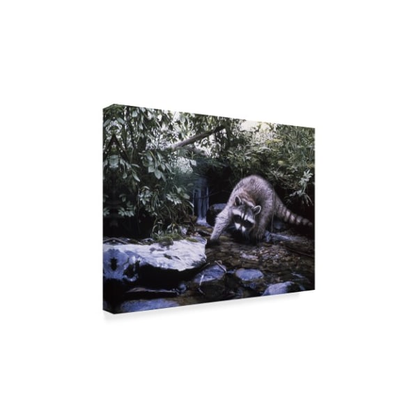 Ron Parker 'Searching The Stream Racoon' Canvas Art,35x47